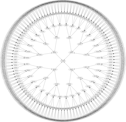 Cayley graph - Step 5