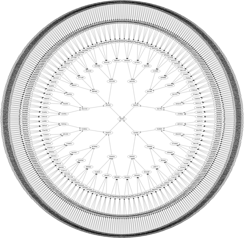 Cayley graph - Step 6